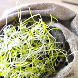 Sac de germination en tissu de LIN BRUT naturel