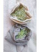Sac de germination